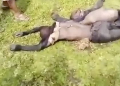 Our indigenous people tortured to death Our indigenous people tortured to death